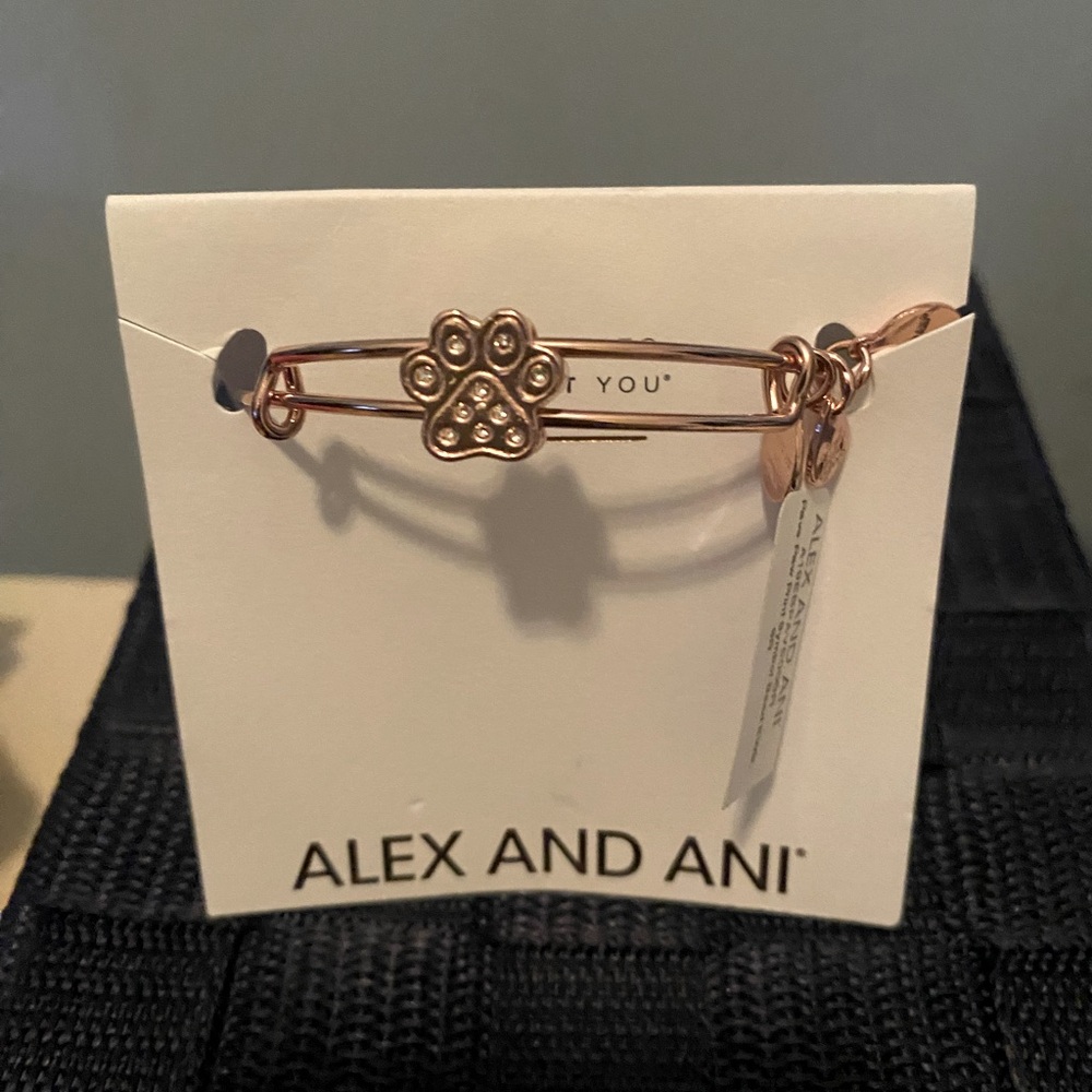 Alex & Ani Bracelet